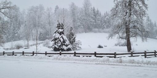 Verschneite Landschaft