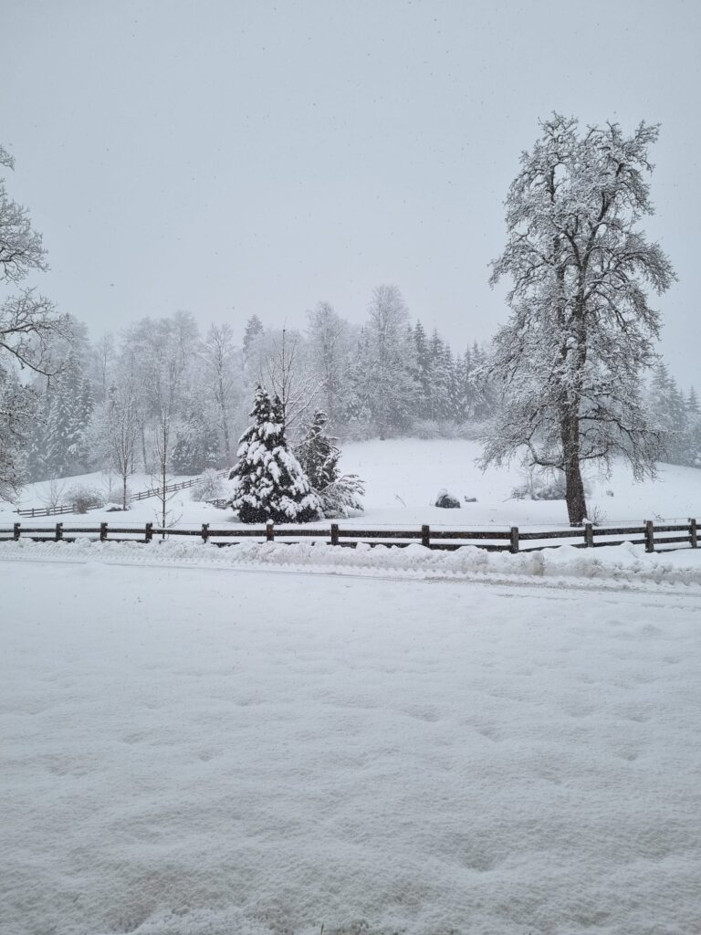 Verschneite Landschaft